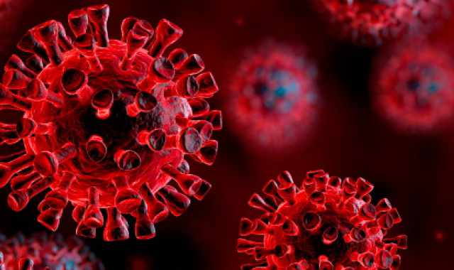 Ricerca, isolato e sequenziato il genoma di due virus Sars-Cov-2